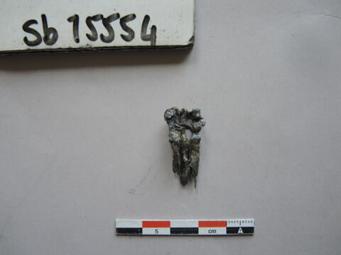 toilette, image 2/3