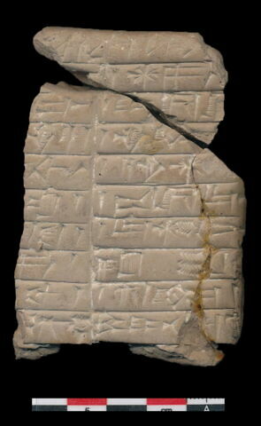 tablette, image 5/6