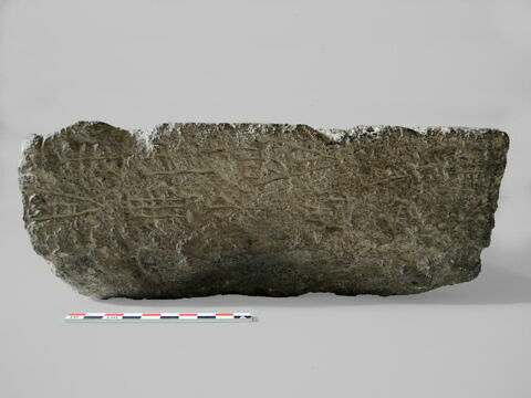 bassin, image 6/6