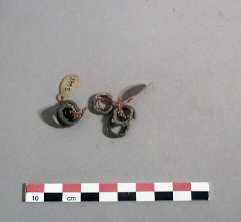 boucle d'oreille ; anneau ; ornement de cheveux