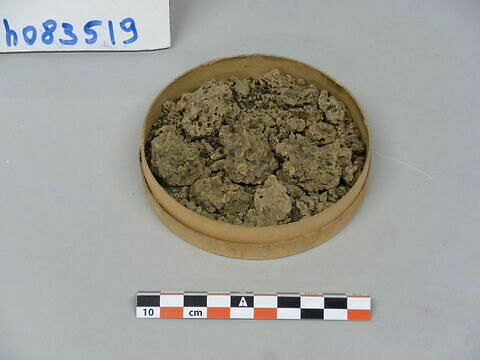 grain ; sol, image 3/3