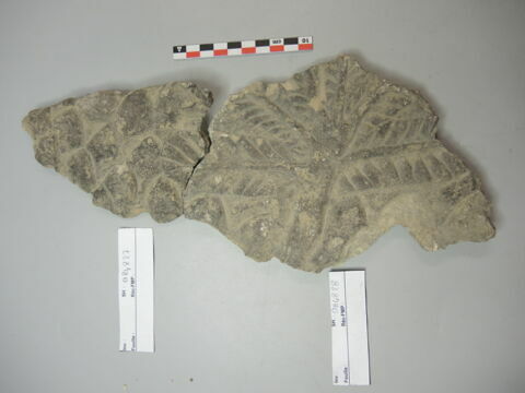 relief, image 8/11