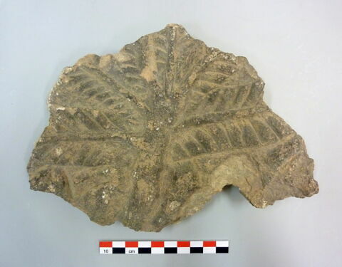 relief, image 4/11