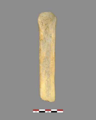 ciseau ; os, image 2/2