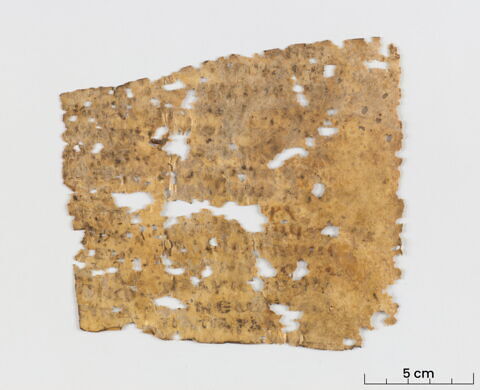 feuillet de codex ; fragment, image 2/4