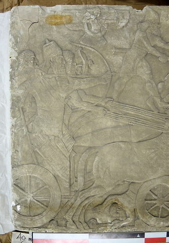 moulage, image 5/8