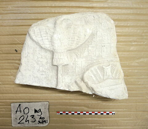 moulage, image 13/34