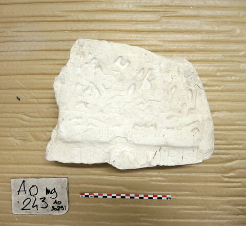 moulage, image 16/34