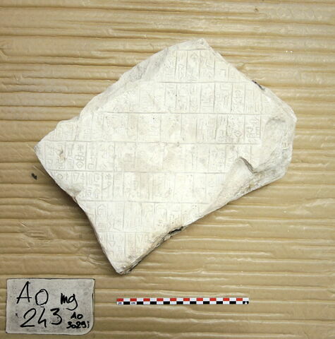 moulage, image 19/34