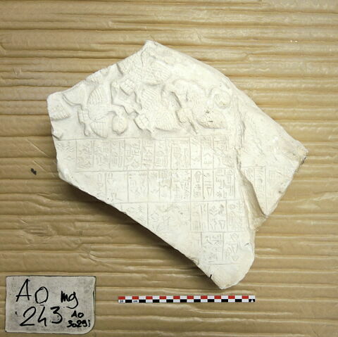 moulage, image 20/34