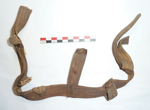 ceinture  ; harnachement de cheval