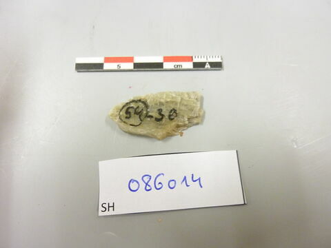 fragment, image 2/2