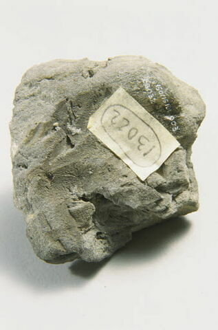 Fragment de visage moustachu, image 5/6