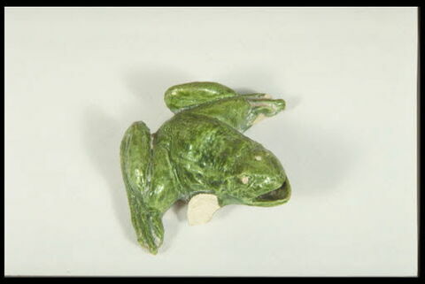 Grenouille de fontaine, image 6/8