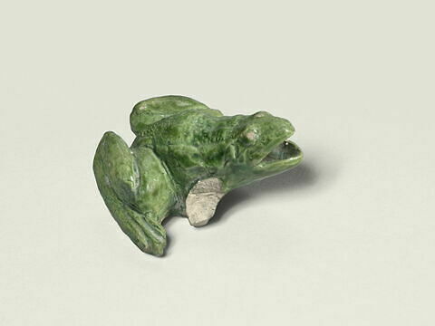 Grenouille de fontaine