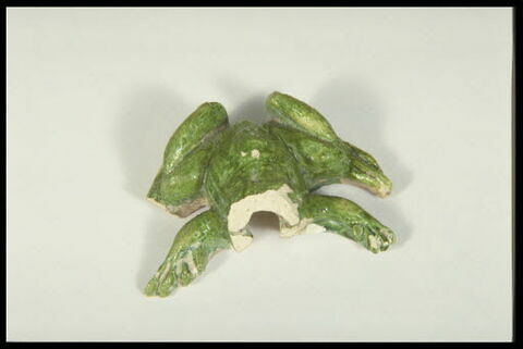 Grenouille de fontaine, image 5/8