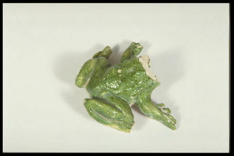 Grenouille de fontaine, image 6/8