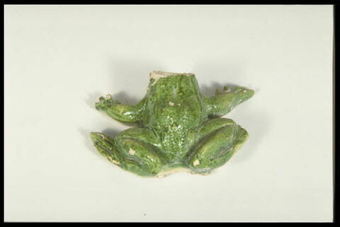 Grenouille de fontaine, image 8/8