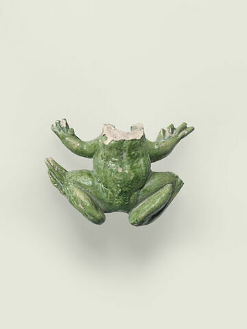 Grenouille de fontaine