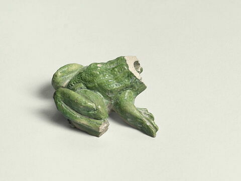 Grenouille de fontaine, image 4/8