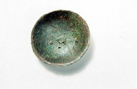cupule
