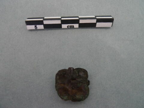 cupule
