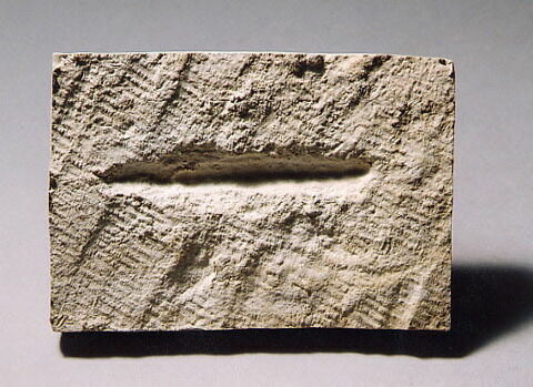 marque de tacheron