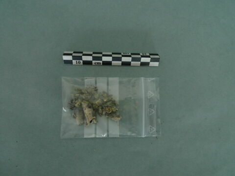 pied, image 3/3