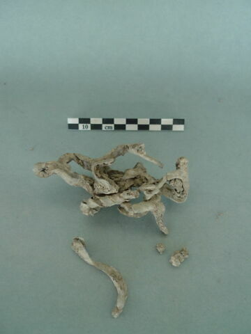 vitrail, image 3/3