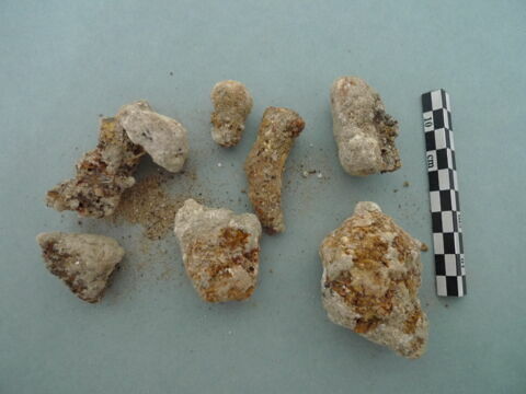 nodule, image 2/3
