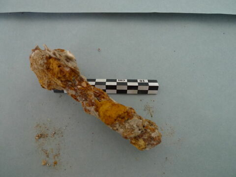 nodule