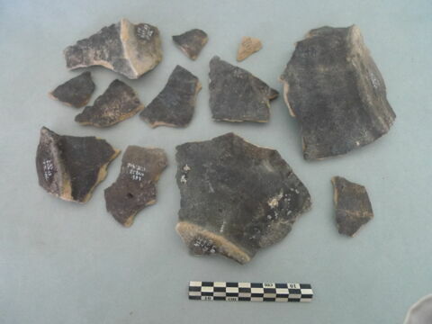 tesson, image 3/3