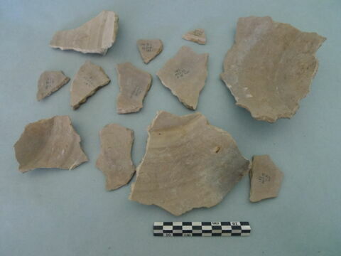 tesson, image 2/3