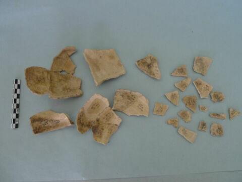 tesson, image 2/3