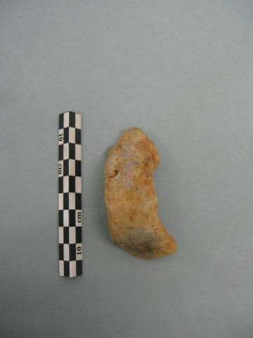 tesson, image 3/3