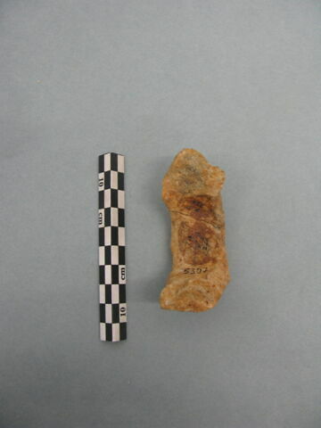 tesson, image 2/3