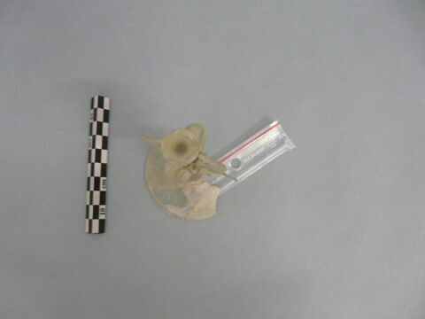 verre à jambe vénitien, image 2/3