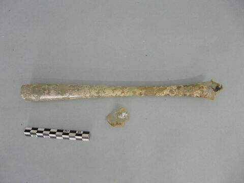bec, image 2/3