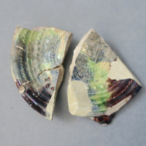 cupule