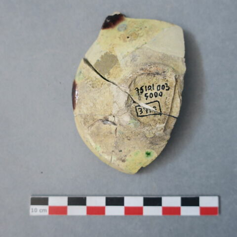 cupule, image 3/3