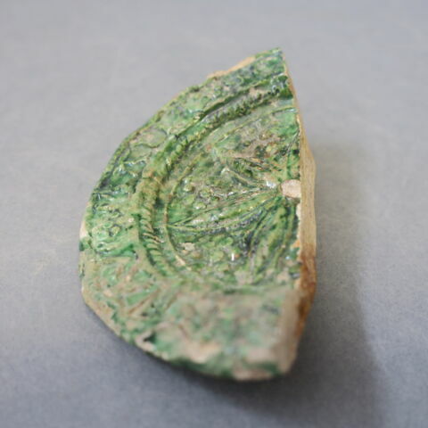 cupule
