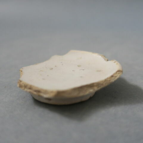 cupule