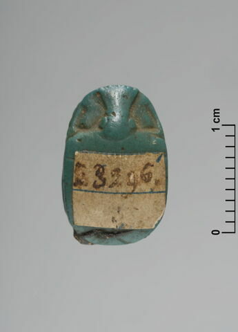 scarabée détaillé, image 2/3