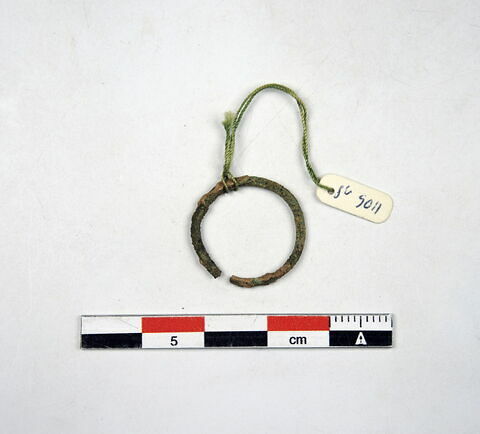 anneau ; boucle