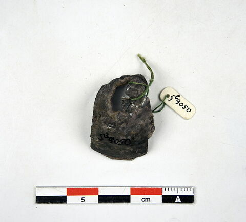 cupule