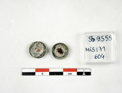 cupule, image 2/2
