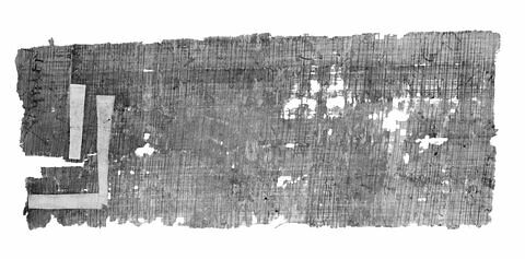 papyrus documentaire, image 2/2