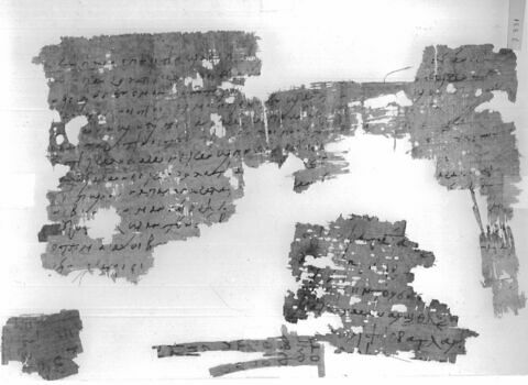 papyrus, image 3/3
