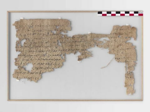 papyrus
