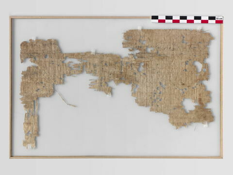 papyrus, image 2/3